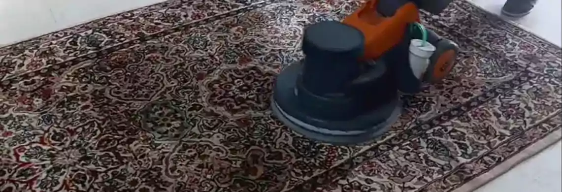 Area Rug Cleaning Service 3