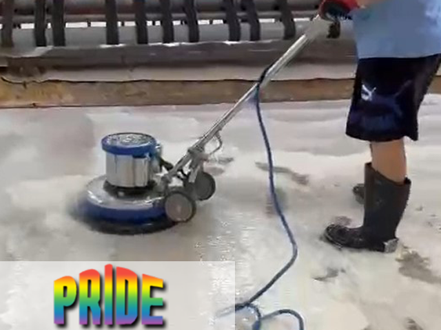 Pet Odor & Stain Removal